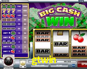 Interface Premium gtwin